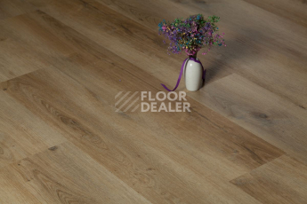 Tarkett Funky House BOB фото 9 | FLOORDEALER